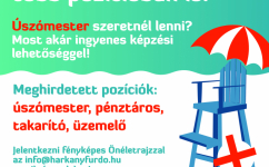 Új kollégáinkat keressük