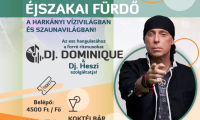 DJ Dominique – Fergeteg Party a Harka Vízivilágban