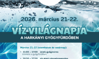 Víz világnapja